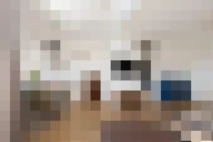 Prévinairestraat 40 Haarlem thumbnail 13