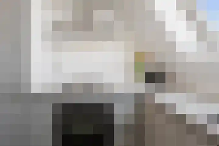 Prévinairestraat 40 Haarlem thumbnail 20
