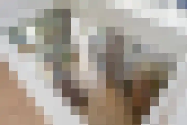 Prévinairestraat 40 Haarlem thumbnail 29