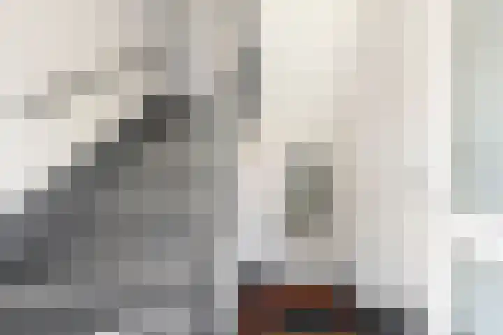 Prévinairestraat 40 Haarlem thumbnail 34
