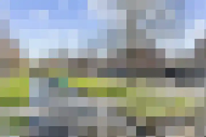 Prévinairestraat 40 Haarlem thumbnail 37
