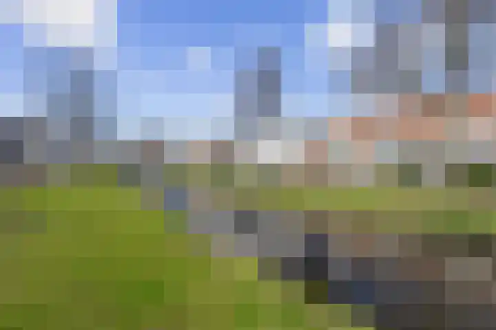 Prévinairestraat 40 Haarlem thumbnail 38