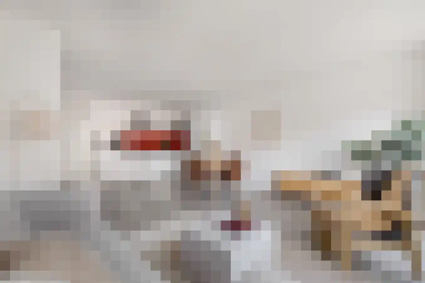 Prévinairestraat 66 Haarlem thumbnail 4