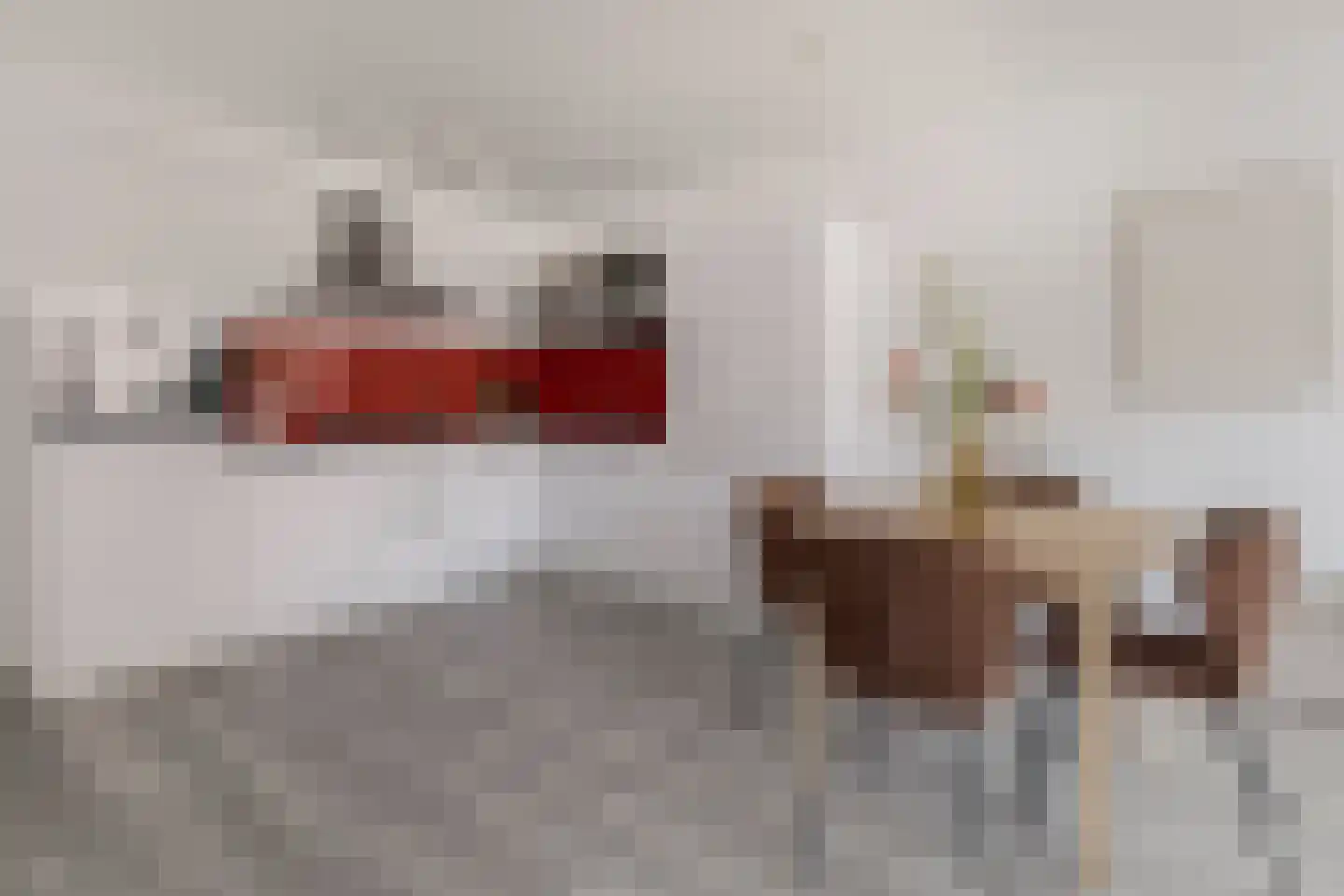 Prévinairestraat 66 Haarlem thumbnail 6