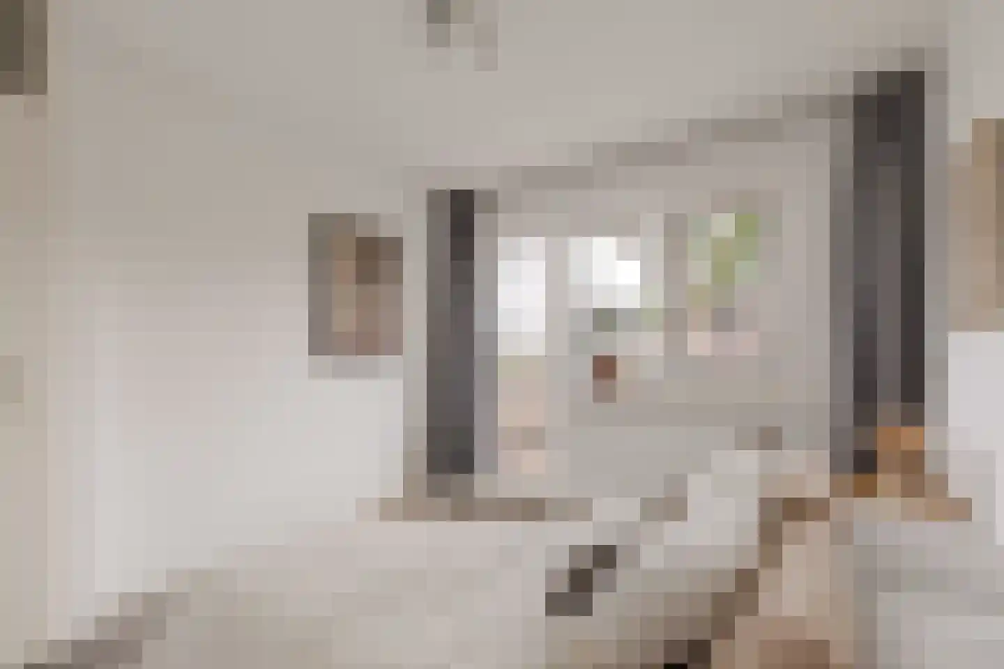 Prévinairestraat 66 Haarlem thumbnail 9