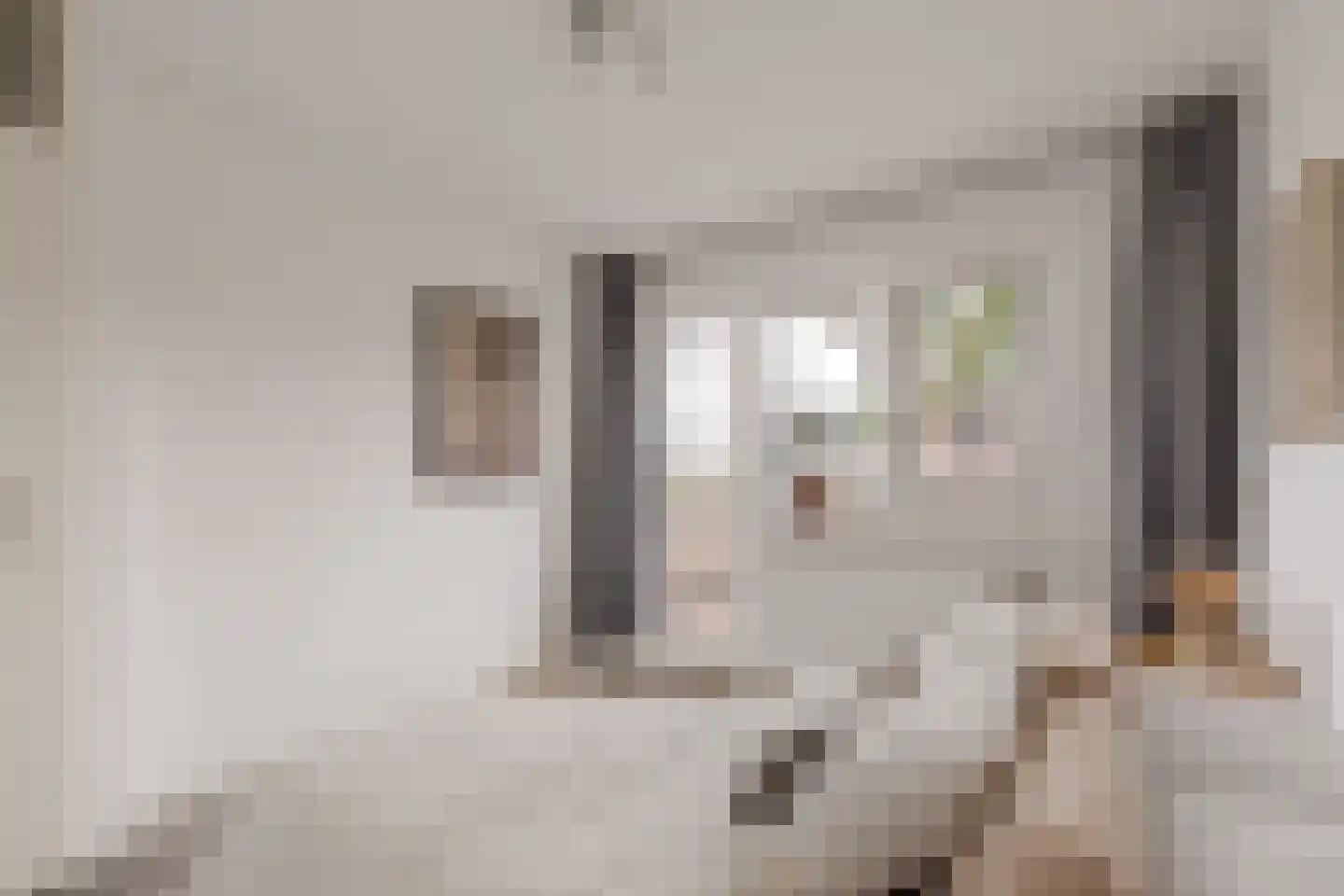 Prévinairestraat 66 Haarlem thumbnail 9