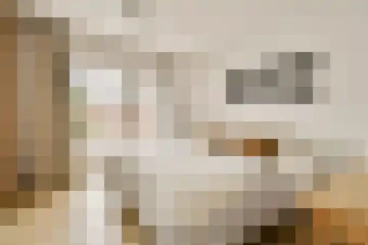 Prévinairestraat 94 Haarlem thumbnail 11