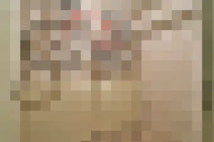 Prévinairestraat 94 Haarlem thumbnail 22