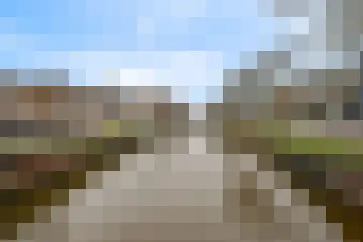 Prévinairestraat 94 Haarlem thumbnail 25