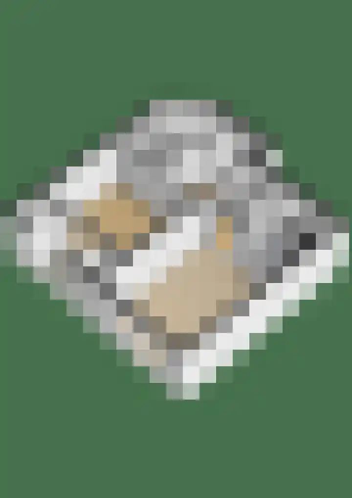 Prévinairestraat 94 Haarlem thumbnail 33