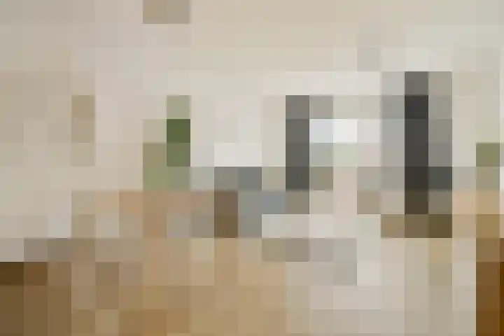 Prévinairestraat 94 Haarlem thumbnail 5