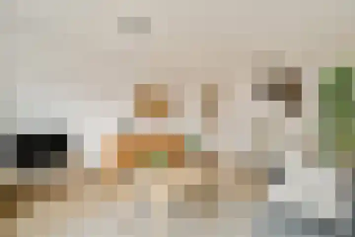 Prévinairestraat 94 Haarlem thumbnail 8