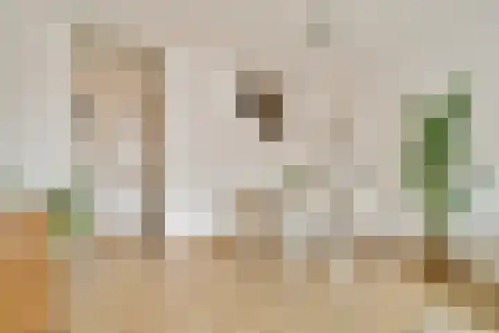 Prévinairestraat 94 Haarlem thumbnail 9