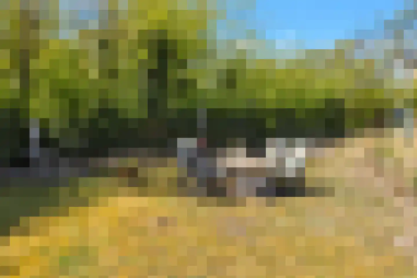 Prévinaireweg 2 Callantsoog thumbnail 28