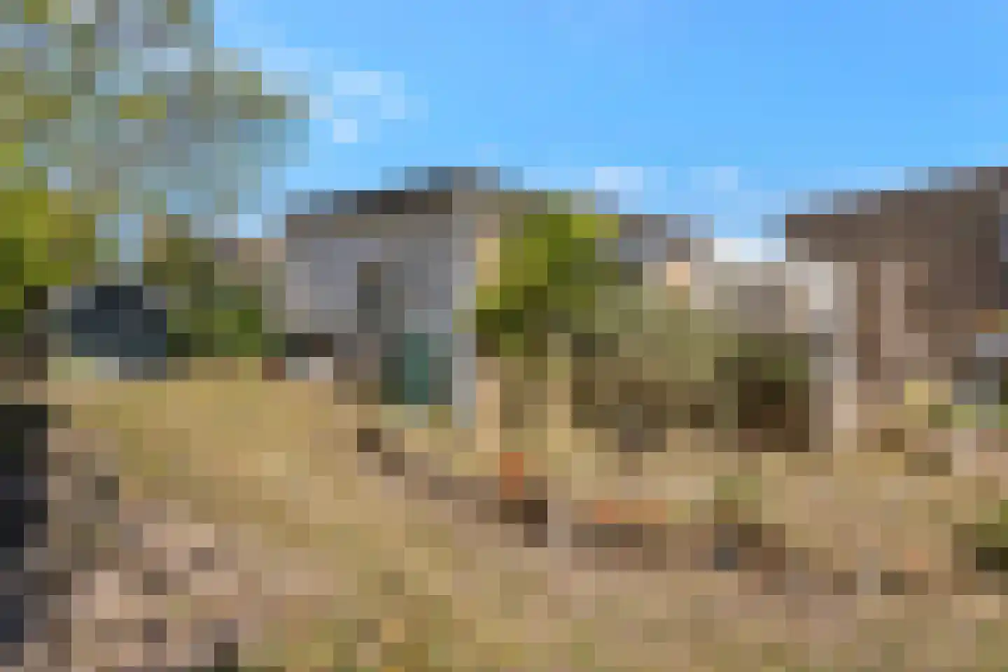 Prévinaireweg 2 Callantsoog thumbnail 29
