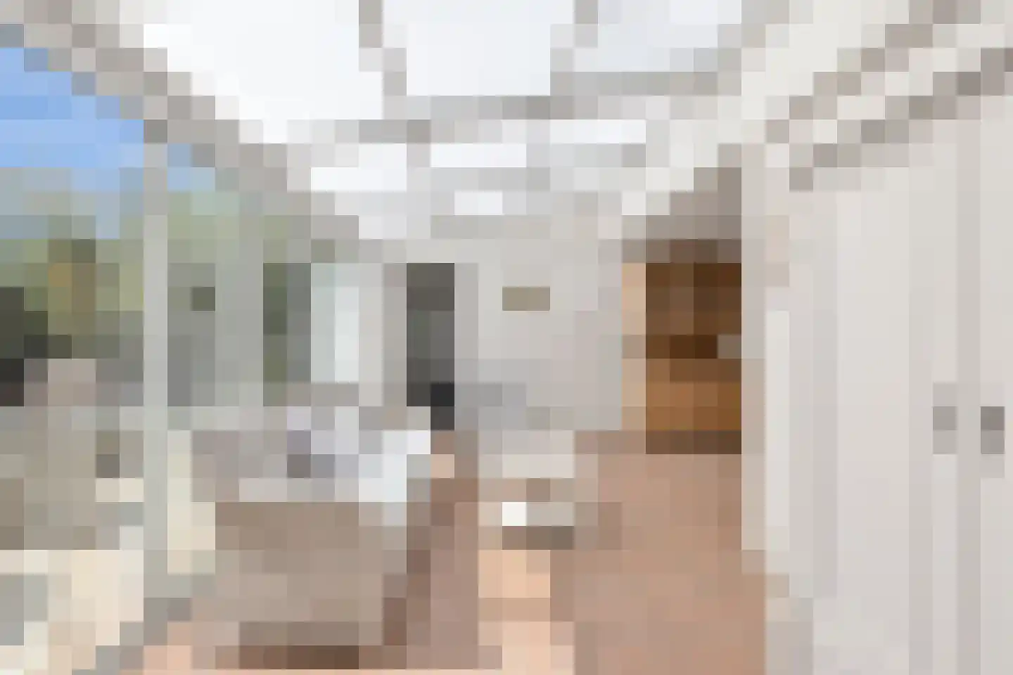 Prévinaireweg 2 Callantsoog thumbnail 5