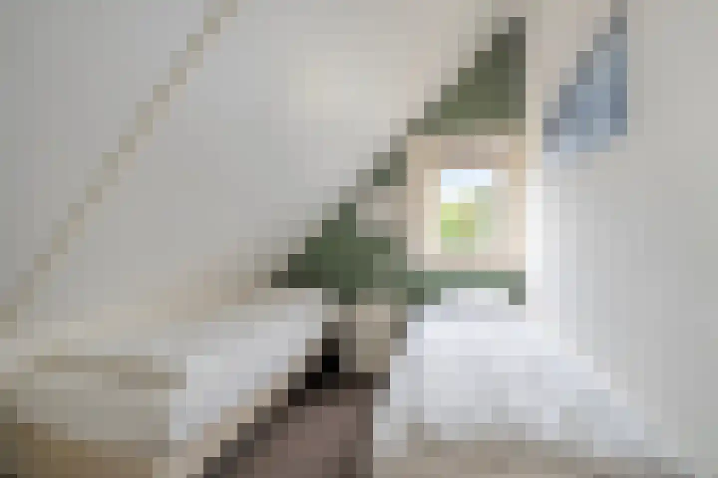 Prévinaireweg 20 Callantsoog thumbnail 19