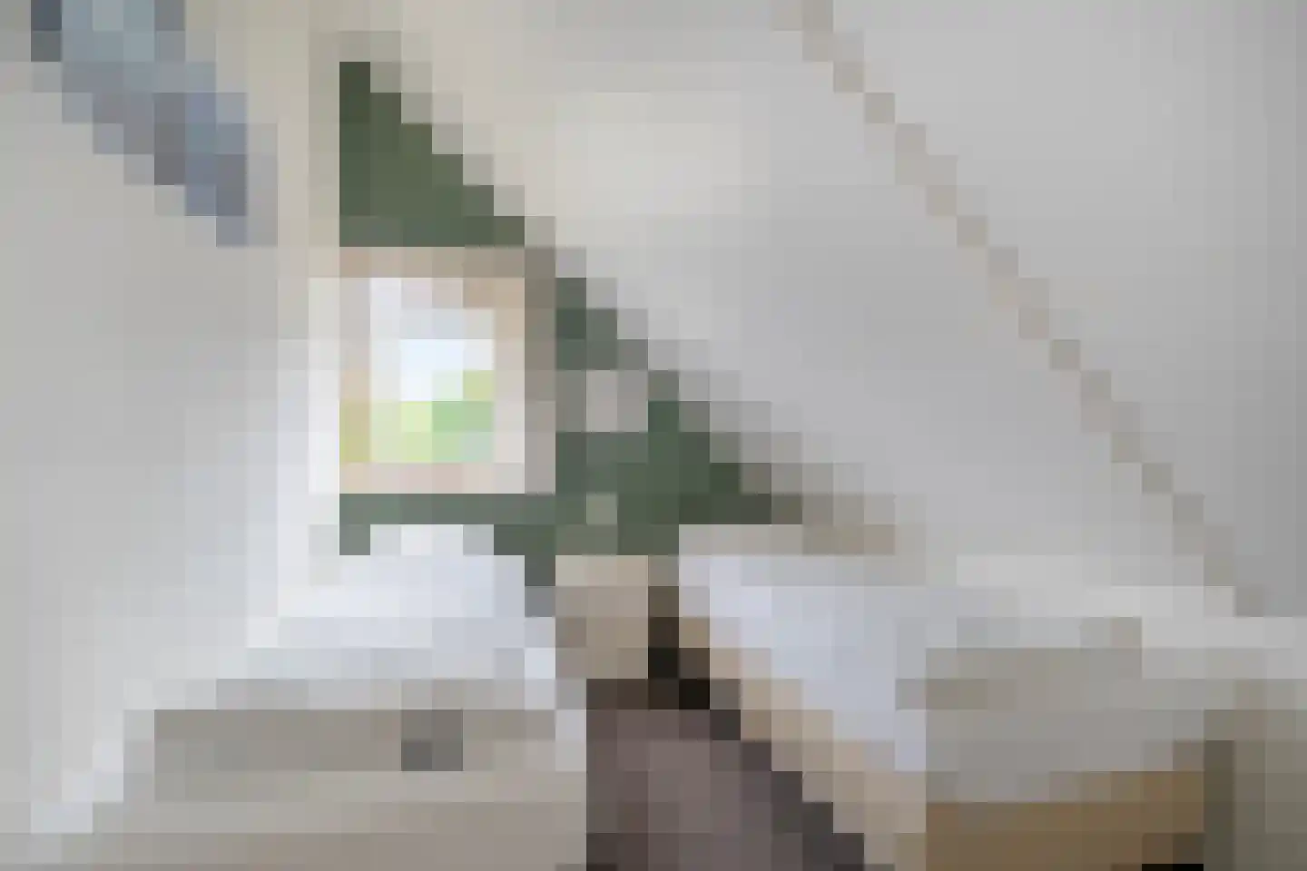 Prévinaireweg 20 Callantsoog thumbnail 21