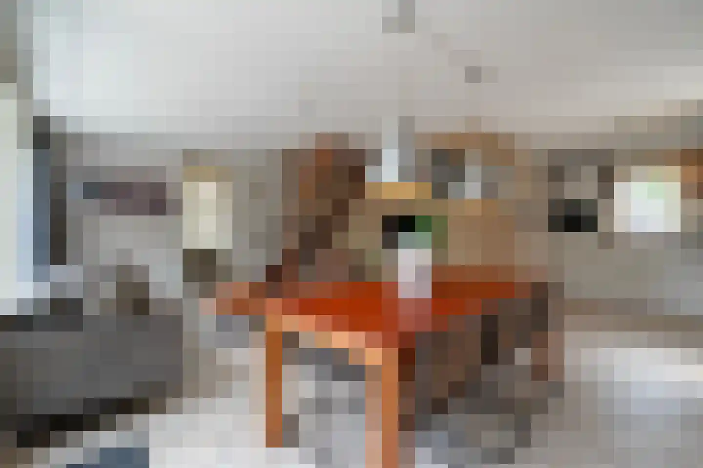 Prévinaireweg 20 Callantsoog thumbnail 6