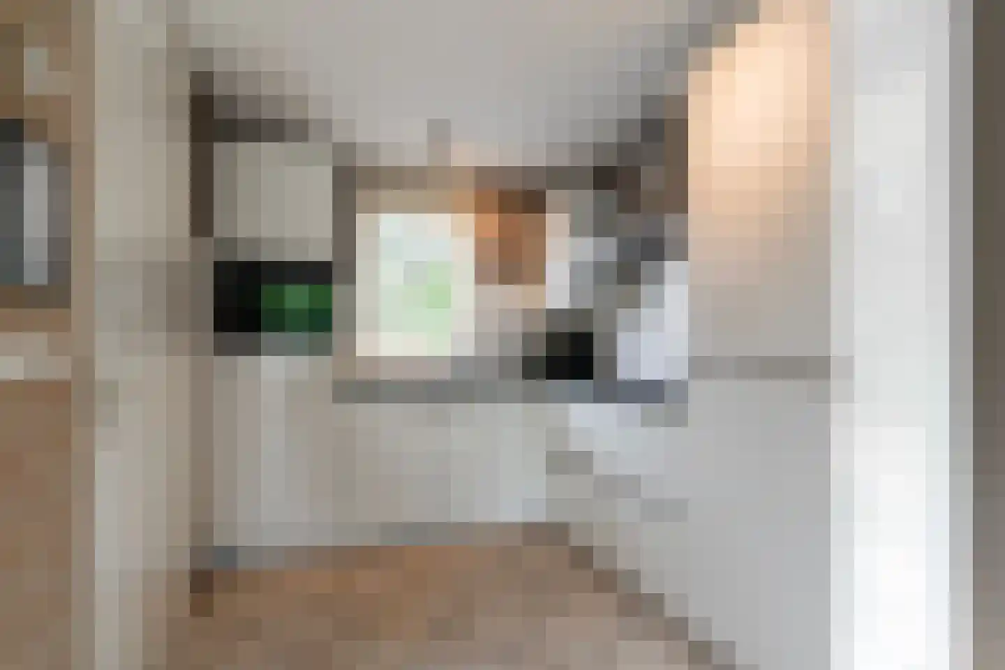 Prévinaireweg 20 Callantsoog thumbnail 8