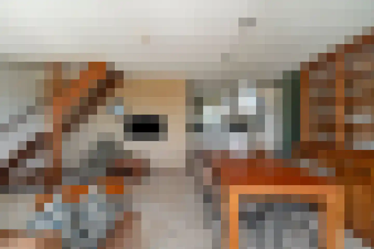 Prévinaireweg 22 Callantsoog thumbnail 11