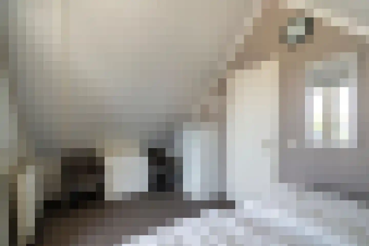 Prévinaireweg 22 Callantsoog thumbnail 21