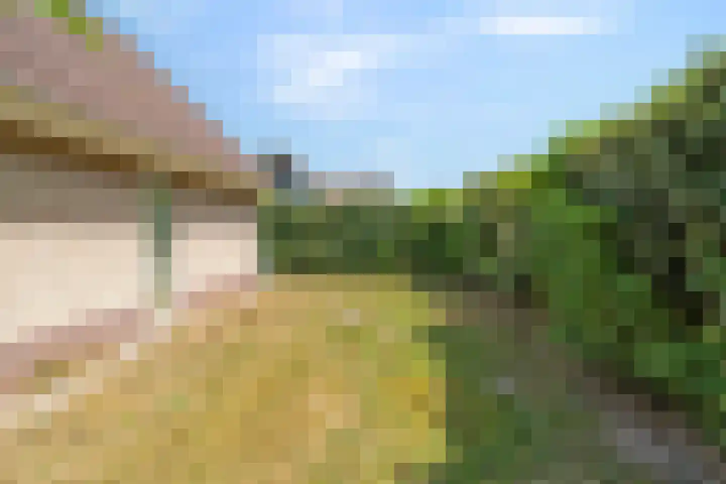 Prévinaireweg 22 Callantsoog thumbnail 33