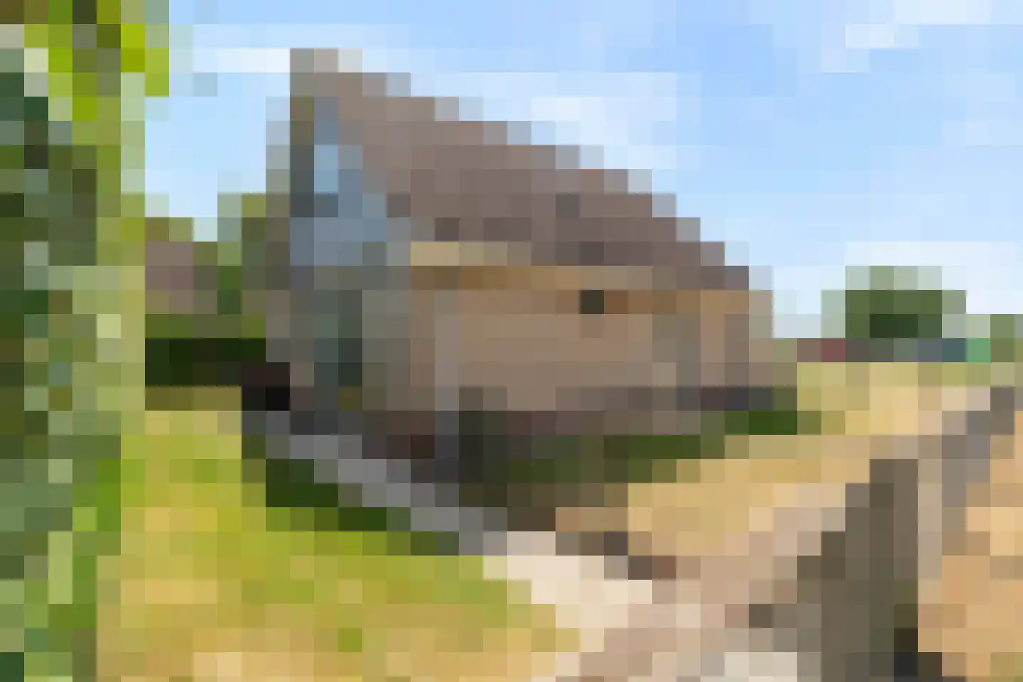 Prévinaireweg 22 Callantsoog thumbnail 34