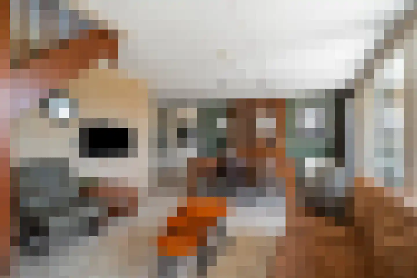 Prévinaireweg 22 Callantsoog thumbnail 8