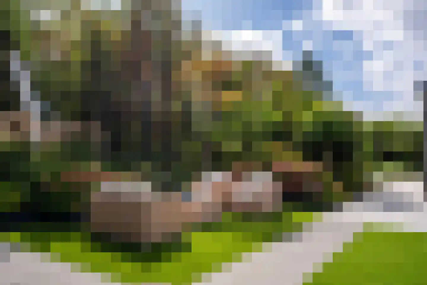 Prévinaireweg 50 Callantsoog thumbnail 44