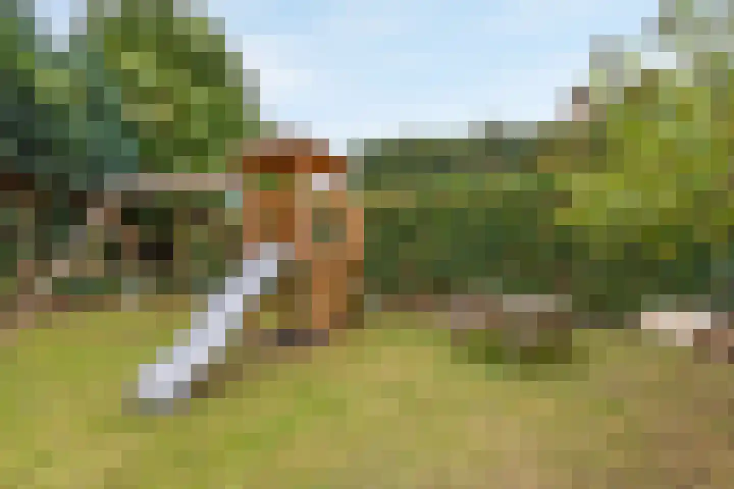 Prevotlaan 11 Sittard thumbnail 22