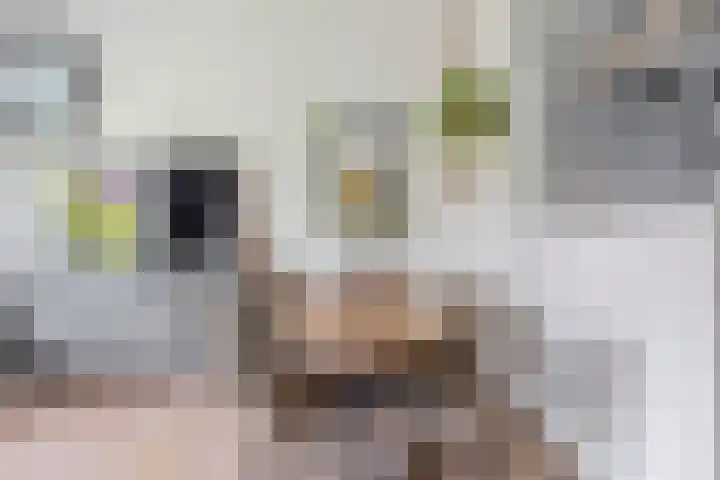 Priamsingel 271 Capelle aan den IJssel thumbnail 14