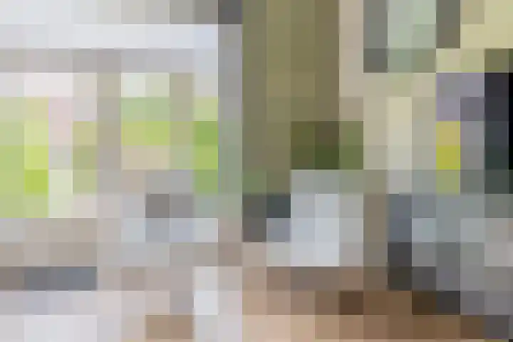 Priamsingel 271 Capelle aan den IJssel thumbnail 16