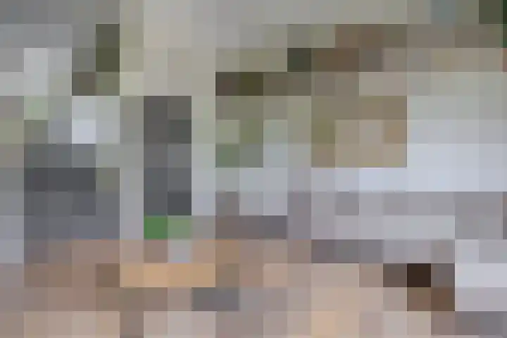 Priamsingel 271 Capelle aan den IJssel thumbnail 17