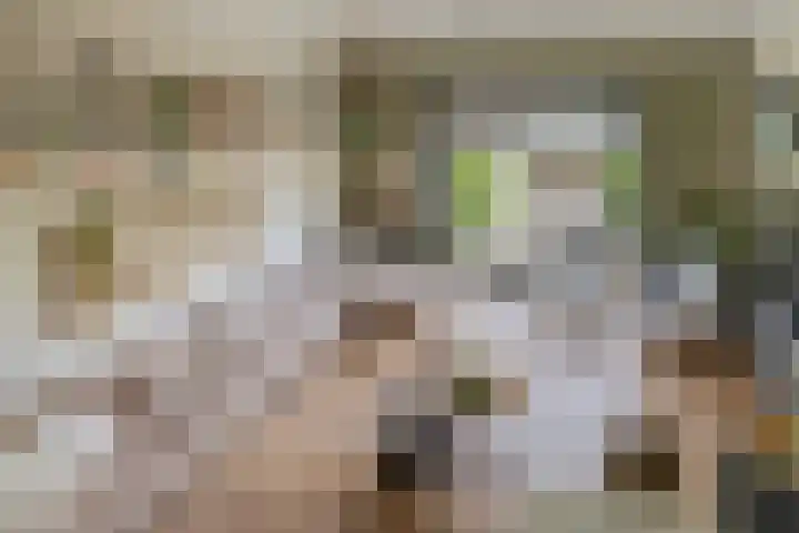 Priamsingel 271 Capelle aan den IJssel thumbnail 18