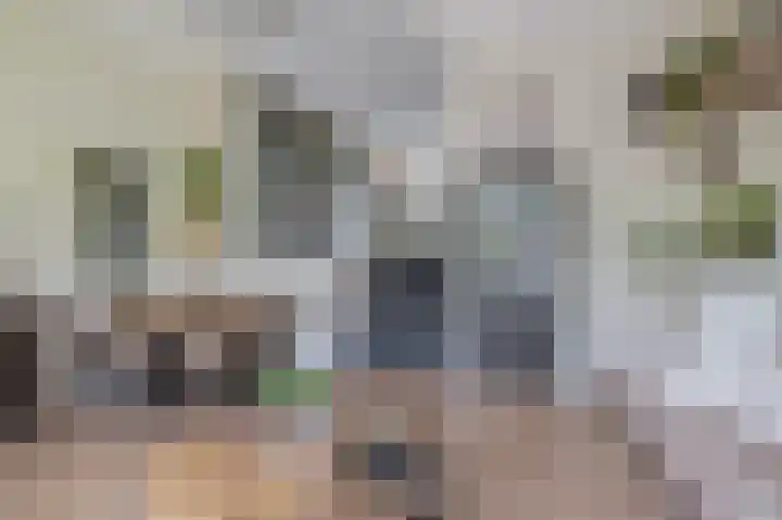 Priamsingel 271 Capelle aan den IJssel thumbnail 19