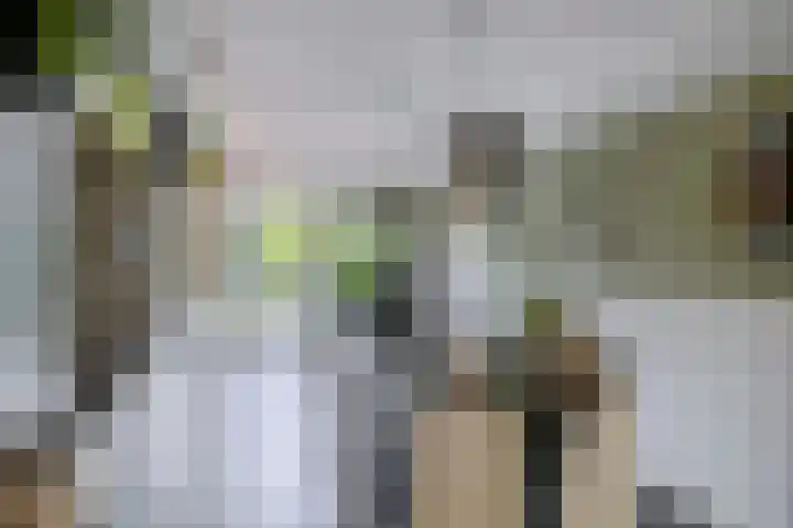 Priamsingel 271 Capelle aan den IJssel thumbnail 20