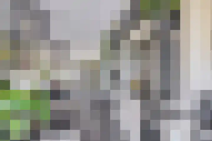 Priamsingel 271 Capelle aan den IJssel thumbnail 21