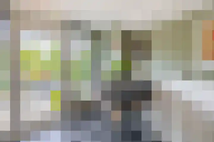 Priamsingel 271 Capelle aan den IJssel thumbnail 22