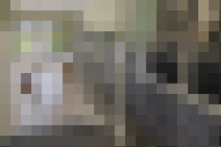 Priamsingel 271 Capelle aan den IJssel thumbnail 23