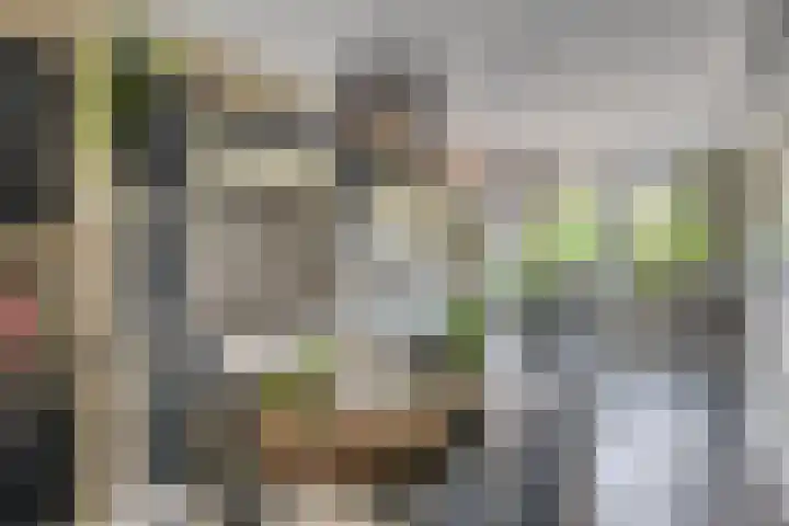 Priamsingel 271 Capelle aan den IJssel thumbnail 24