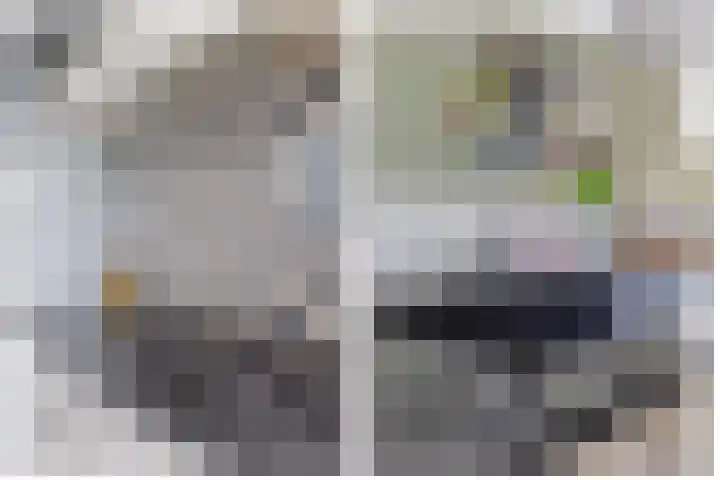 Priamsingel 271 Capelle aan den IJssel thumbnail 25