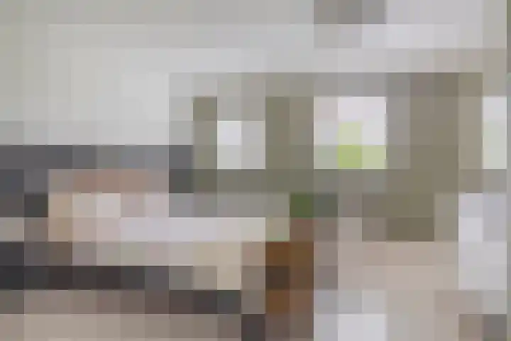 Priamsingel 271 Capelle aan den IJssel thumbnail 28
