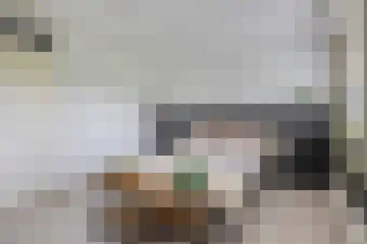 Priamsingel 271 Capelle aan den IJssel thumbnail 29