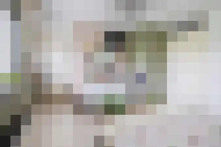 Priamsingel 271 Capelle aan den IJssel thumbnail 30
