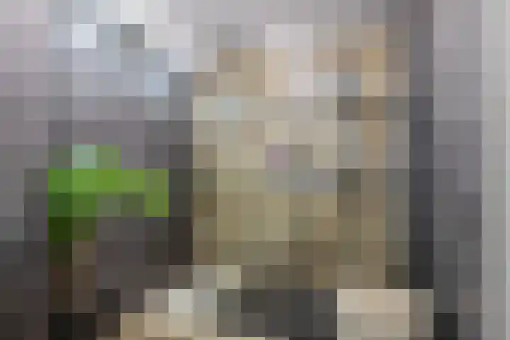 Priamsingel 271 Capelle aan den IJssel thumbnail 31