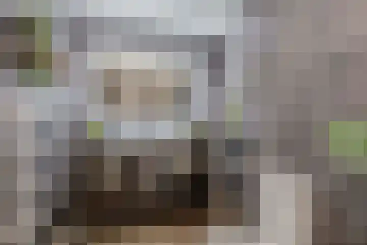 Priamsingel 271 Capelle aan den IJssel thumbnail 32