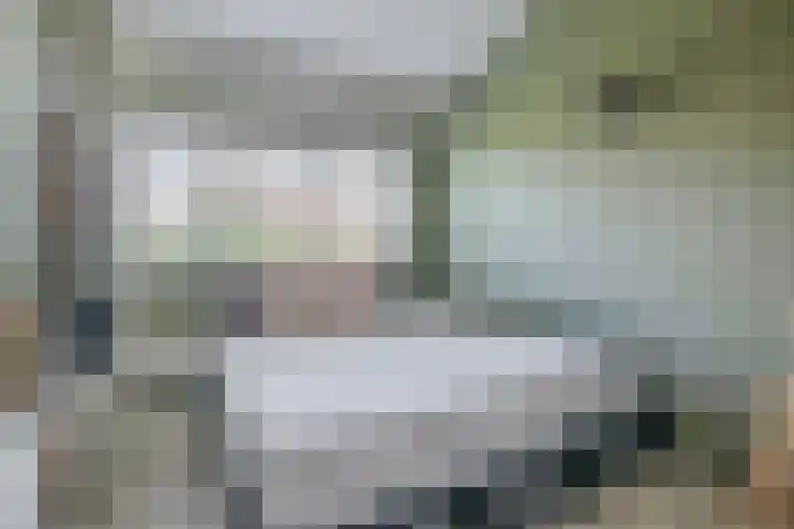 Priamsingel 271 Capelle aan den IJssel thumbnail 34