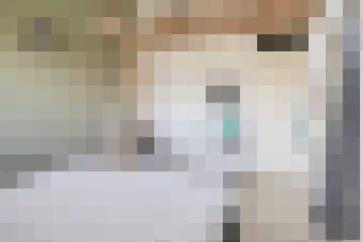 Priamsingel 271 Capelle aan den IJssel thumbnail 35