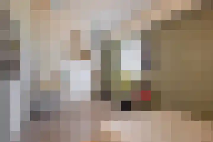 Priamsingel 271 Capelle aan den IJssel thumbnail 37